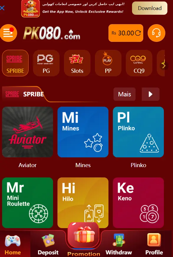 PK080 Game interface image